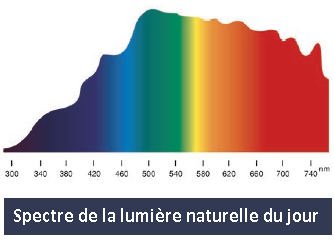 Spectre de la lumière naturelle du jour