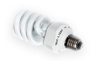 Ampoule True-Light E27 